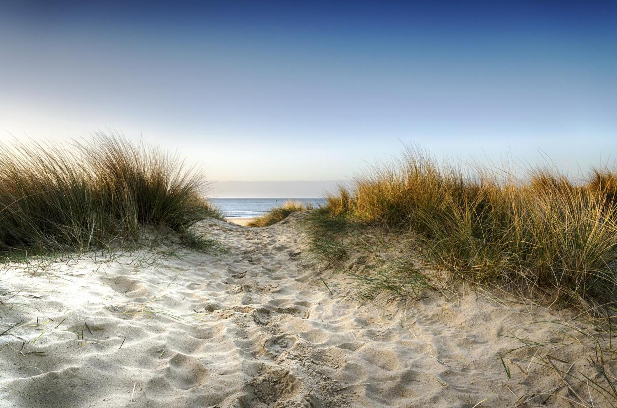 The Annex - Unparalleled Beach Front Luxury Accommodation - Private South West Facing Patio Area - Pet Friendly - Sky - Netflix - Super Fast Wi-Fi - Stones Throw To The Beach Bournemouth Kültér fotó